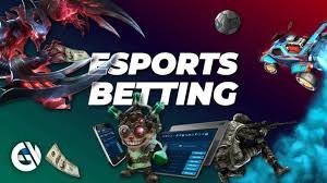 monyexch Live Odds Feed